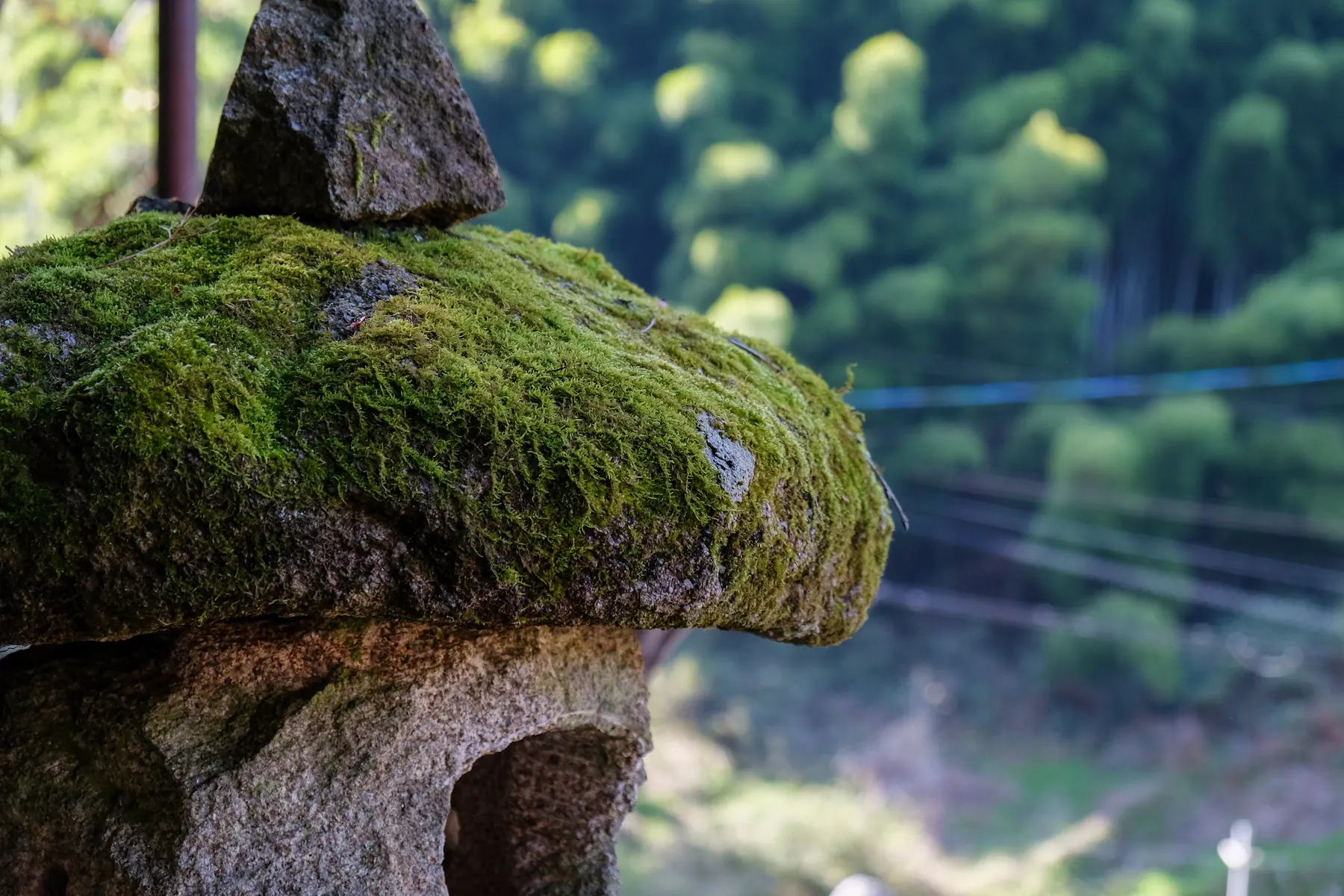 苔むした石灯籠